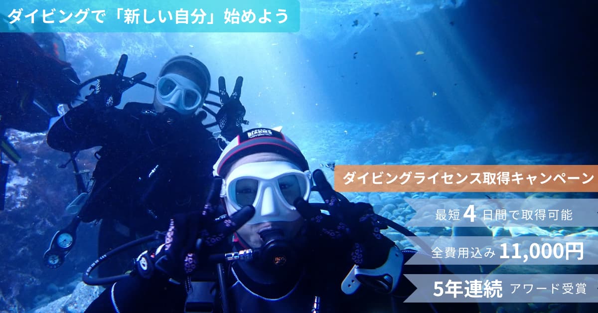 ダイビングでライセンス取得キャンペーン